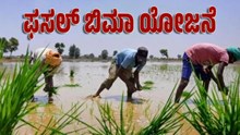 ಫಸಲ್ ಬಿಮಾ ಯೋಜನೆ: 6 ವರ್ಷದಲ್ಲಿ 2 ಸಾವಿರ ಕೋಟಿ..ಬಂಪರ್ ಲಾಭದಲ್ಲಿ ವಿಮಾ ಕಂಪನಿಗಳು  ಫಸಲ್ ಬಿಮಾ ಯೋಜನೆ: 6 ವರ್ಷದಲ್ಲಿ 2 ಸಾವಿರ ಕೋಟಿ..ಬಂಪರ್ ಲಾಭದಲ್ಲಿ ವಿಮಾ ಕಂಪನಿಗಳು