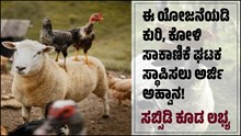 ಕುರಿ, ಕೋಳಿ ಸಾಕಾಣಿಕೆ ಘಟಕ ಸ್ಥಾಪಿಸಲು ಅರ್ಜಿ ಅಹ್ವಾನ! ಸಬ್ಸಿಡಿ ಕೂಡ ಲಭ್ಯ.. 