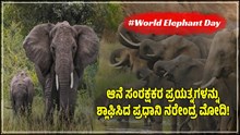 #WorldElephantDay: ಆನೆ ಸಂರಕ್ಷಕರ ಪ್ರಯತ್ನ ಶ್ಲಾಘಿಸಿದ ಪ್ರಧಾನಿ ! ಮೋದಿ ಹೊಗಳಿದ ಆನೆ ದಿನದ ಬಗ್ಗೆ ಇಲ್ಲಿದೆ ಕುತೂಹಲಕರ ಮಾಹಿತಿ #WorldElephantDay: ಆನೆ ಸಂರಕ್ಷಕರ ಪ್ರಯತ್ನ ಶ್ಲಾಘಿಸಿದ ಪ್ರಧಾನಿ ! ಮೋದಿ ಹೊಗಳಿದ ಆನೆ ದಿನದ ಬಗ್ಗೆ ಇಲ್ಲಿದೆ ಕುತೂಹಲಕರ ಮಾಹಿತಿ