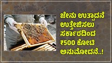 Beekeeping: ಜೇನು ಉತ್ಪಾದನೆ ಉತ್ತೇಜಿಸಲು ಸರ್ಕಾರದಿಂದ ₹500 ಕೋಟಿ ಅನುಮೋದನೆ! Beekeeping: ಜೇನು ಉತ್ಪಾದನೆ ಉತ್ತೇಜಿಸಲು ಸರ್ಕಾರದಿಂದ ₹500 ಕೋಟಿ ಅನುಮೋದನೆ!