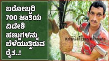 ಅಬ್ಬಬ್ಬಾ..ಬರೋಬ್ಬರಿ 700 ಜಾತಿಯ ವಿದೇಶಿ ಹಣ್ಣುಗಳನ್ನು ಬೆಳೆಯುತ್ತಿರುವ ರೈತ!  ಅಬ್ಬಬ್ಬಾ..ಬರೋಬ್ಬರಿ 700 ಜಾತಿಯ ವಿದೇಶಿ ಹಣ್ಣುಗಳನ್ನು ಬೆಳೆಯುತ್ತಿರುವ ರೈತ!
