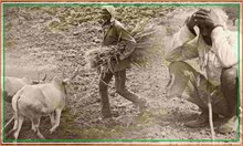 PM Kisan: ಈ ರಾಜ್ಯದಲ್ಲಿ 9 ಲಕ್ಷಕ್ಕೂ ಹೆಚ್ಚು ಅರ್ಹ ಫಲಾನುಭವಿಗಳು ಪತ್ತೆ..? PM Kisan: ಈ ರಾಜ್ಯದಲ್ಲಿ 9 ಲಕ್ಷಕ್ಕೂ ಹೆಚ್ಚು ಅರ್ಹ ಫಲಾನುಭವಿಗಳು ಪತ್ತೆ..?