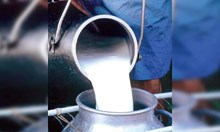 ಹೈನುಗಾರರಿಗೆ ಬಂಪರ್: ಲೀಟರ್ ಹಾಲಿಗೆ 4 ರೂ ಸಬ್ಸಿಡಿ ಘೋಷಣೆ!  ಹೈನುಗಾರರಿಗೆ ಬಂಪರ್: ಲೀಟರ್ ಹಾಲಿಗೆ 4 ರೂ ಸಬ್ಸಿಡಿ ಘೋಷಣೆ!