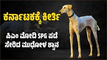 ಕರ್ನಾಟಕಕ್ಕೆ ಕೀರ್ತಿ: ಪಿಎಂ ಮೋದಿ SPG ಪಡೆ ಸೇರಿದ ಮುಧೋಳ ಶ್ವಾನ