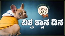 ವಿಶ್ವ ಶ್ವಾನ ದಿನ: ಈ ಆಚರಣೆಯ ಮಹತ್ವ ಹಾಗೂ ಇತಿಹಾಸ ನಿಮಗೆ ಗೊತ್ತಾ..? ವಿಶ್ವ ಶ್ವಾನ ದಿನ: ಈ ಆಚರಣೆಯ ಮಹತ್ವ ಹಾಗೂ ಇತಿಹಾಸ ನಿಮಗೆ ಗೊತ್ತಾ..?