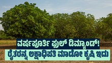 ವರ್ಷಪೂರ್ತಿ ಫುಲ್ ಡಿಮ್ಯಾಂಡ್..ರೈತರನ್ನ ಲಕ್ಷಾಧಿಪತಿ ಮಾಡೋ ಕೃಷಿ ಇದು ವರ್ಷಪೂರ್ತಿ ಫುಲ್ ಡಿಮ್ಯಾಂಡ್..ರೈತರನ್ನ ಲಕ್ಷಾಧಿಪತಿ ಮಾಡೋ ಕೃಷಿ ಇದು