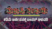 ಕಡಿಮೆ ಖರ್ಚಿನನಲ್ಲಿ ಬಂಪರ್‌ ಇಳುವರಿ..ಈ ರೀತಿ ಮೆಣಸಿನಕಾಯಿ ಬೆಳೆದು ನೋಡಿ