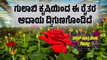 ಗುಲಾಬಿ ಕೃಷಿಯಿಂದ ಈ ರೈತರ ಆದಾಯ ದ್ವಿಗುಣಗೊಂಡಿದೆ..ಇದರ ಸಕ್ಸಸ್ ಸೂತ್ರವೇನು ಗೊತ್ತಾ? ಗುಲಾಬಿ ಕೃಷಿಯಿಂದ ಈ ರೈತರ ಆದಾಯ ದ್ವಿಗುಣಗೊಂಡಿದೆ..ಇದರ ಸಕ್ಸಸ್ ಸೂತ್ರವೇನು ಗೊತ್ತಾ?