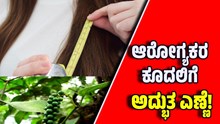 ಆರೋಗ್ಯಕರ ಕೂದಲಿಗೆ ಇದು ಅದ್ಭುತ ಎಣ್ಣೆ!