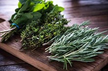 ಪ್ರಾಚೀನ ಗಿಡಮೂಲಿಕೆಗಳ ವಿಶಿಷ್ಟ ಪ್ರಯೋಜನಗಳು ಪ್ರಾಚೀನ ಗಿಡಮೂಲಿಕೆಗಳ ವಿಶಿಷ್ಟ ಪ್ರಯೋಜನಗಳು