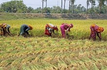 ಈ ರಾಜ್ಯದಲ್ಲಿ “ಮುಖ್ಯಮಂತ್ರಿ ಕಿಸಾನ್ ಸಮ್ಮಾನ್ ನಿಧಿ” ಯೋಜನೆ ಜಾರಿಯಾಗಲಿದೆ ಈ ರಾಜ್ಯದಲ್ಲಿ “ಮುಖ್ಯಮಂತ್ರಿ ಕಿಸಾನ್ ಸಮ್ಮಾನ್ ನಿಧಿ” ಯೋಜನೆ ಜಾರಿಯಾಗಲಿದೆ