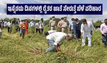 ಬಿಗ್ನ್ಯೂಸ್: ಸರ್ಕಾರದಿಂದ 116 ಕೋಟಿ ರೂ ರಿಲೀಸ್..ಇನ್ನೆರಡು ದಿನಗಳಲ್ಲಿ ರೈತರ ಖಾತೆ ಸೇರುತ್ತೆ ಬೆಳೆ ಪರಿಹಾರ ಬಿಗ್ನ್ಯೂಸ್: ಸರ್ಕಾರದಿಂದ 116 ಕೋಟಿ ರೂ ರಿಲೀಸ್..ಇನ್ನೆರಡು ದಿನಗಳಲ್ಲಿ ರೈತರ ಖಾತೆ ಸೇರುತ್ತೆ ಬೆಳೆ ಪರಿಹಾರ