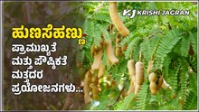 ಹುಣಸೆಹಣ್ಣು-  ಪ್ರಾಮುಖ್ಯತೆ ಮತ್ತು ಪೌಷ್ಠಿಕತೆ ಮತ್ತದರ ಪ್ರಯೋಜನಗಳು