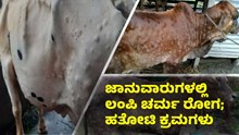 ಜಾನುವಾರುಗಳಲ್ಲಿ ಲಂಪಿ ಚರ್ಮ ರೋಗ; ಹತೋಟಿ ಕ್ರಮಗಳು 
