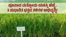 ಪೂಸಾದ ಮತ್ತೊಂದು ಯಶಸ್ವಿ ಹೆಜ್ಜೆ, 3 ಸುಧಾರಿತ ಭತ್ತದ ತಳಿಗಳ ಅಭಿವೃದ್ಧಿ!