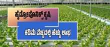 ಹೈಡ್ರೋಪೋನಿಕ್ ಕೃಷಿ: ಕಡಿಮೆ ವೆಚ್ಚದಲ್ಲಿ ಹೆಚ್ಚು ಲಾಭ..ಇಲ್ಲಿದೆ ಸುಲಭ ಮಾರ್ಗ ಹೈಡ್ರೋಪೋನಿಕ್ ಕೃಷಿ: ಕಡಿಮೆ ವೆಚ್ಚದಲ್ಲಿ ಹೆಚ್ಚು ಲಾಭ..ಇಲ್ಲಿದೆ ಸುಲಭ ಮಾರ್ಗ