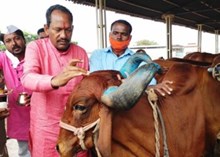 ಲಂಪಿ ಚರ್ಮರೋಗದಿಂದ ಮೃತಪಟ್ಟ ಹಸುವಿನ ಮಾಲೀಕರಿಗೆ ಪರಿಹಾರ ನೀಡಲು ₹2 ಕೋಟಿ ಬಿಡುಗಡೆ! ಲಂಪಿ ಚರ್ಮರೋಗದಿಂದ ಮೃತಪಟ್ಟ ಹಸುವಿನ ಮಾಲೀಕರಿಗೆ ಪರಿಹಾರ ನೀಡಲು ₹2 ಕೋಟಿ ಬಿಡುಗಡೆ!