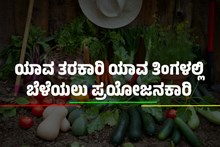 ಯಾವ ತರಕಾರಿ ಯಾವ ತಿಂಗಳಲ್ಲಿ ಬೆಳೆಯಲು ಪ್ರಯೋಜನಕಾರಿ, ಸಂಪೂರ್ಣ ಲೇಖನವನ್ನು ಓದಿ ಯಾವ ತರಕಾರಿ ಯಾವ ತಿಂಗಳಲ್ಲಿ ಬೆಳೆಯಲು ಪ್ರಯೋಜನಕಾರಿ, ಸಂಪೂರ್ಣ ಲೇಖನವನ್ನು ಓದಿ