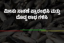 ಮೀನು ಸಾಕಣೆ ಪ್ರಾರಂಭಿಸಿ ಮತ್ತು ದೊಡ್ಡ ಲಾಭ ಗಳಿಸಿ.. ಬಂಪರ್ ಸಬ್ಸಿಡಿ ಲಭ್ಯವಿದೆ ಮೀನು ಸಾಕಣೆ ಪ್ರಾರಂಭಿಸಿ ಮತ್ತು ದೊಡ್ಡ ಲಾಭ ಗಳಿಸಿ.. ಬಂಪರ್ ಸಬ್ಸಿಡಿ ಲಭ್ಯವಿದೆ