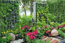 ವರ್ಟಿಕಲ್ ಗಾರ್ಡನ್: ಸೀಮಿತ ಜಾಗದಲ್ಲಿ ಸಸ್ಯಗಳನ್ನು ಬೆಳೆಯಲು ಸಹಾಯ ಮಾಡುವ ವಿಶಿಷ್ಟ ವಿಧಾನ ವರ್ಟಿಕಲ್ ಗಾರ್ಡನ್: ಸೀಮಿತ ಜಾಗದಲ್ಲಿ ಸಸ್ಯಗಳನ್ನು ಬೆಳೆಯಲು ಸಹಾಯ ಮಾಡುವ ವಿಶಿಷ್ಟ ವಿಧಾನ