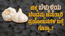 ಚಿಕ್ಕ ಬೆಳ್ಳುಳ್ಳಿಯ ಬೆಟ್ಟದಷ್ಟು ಚಮತ್ಕಾರಿ ಪ್ರಯೋಜನಗಳ ಬಗ್ಗೆ ಗೊತ್ತಾ..?