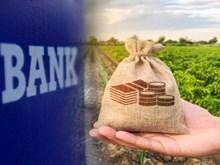 16% ಕೃಷಿ ಸಾಲವು ಅನುತ್ಪಾದಕ ಆಸ್ತಿಯಾಗಿ ಮಾರ್ಪಟ್ಟಿದೆ- CIBIL ವರದಿ 16% ಕೃಷಿ ಸಾಲವು ಅನುತ್ಪಾದಕ ಆಸ್ತಿಯಾಗಿ ಮಾರ್ಪಟ್ಟಿದೆ- CIBIL ವರದಿ