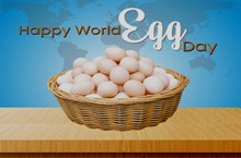 ವಿಶ್ವ ಮೊಟ್ಟೆ ದಿನಾಚರಣೆ..ಇಲ್ಲಿವೆ ಇಂಟರೆಸ್ಟಿಂಗ್ ಸಂಗತಿಗಳು ವಿಶ್ವ ಮೊಟ್ಟೆ ದಿನಾಚರಣೆ..ಇಲ್ಲಿವೆ ಇಂಟರೆಸ್ಟಿಂಗ್ ಸಂಗತಿಗಳು