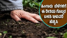 ಹಿಂಗಾರು ಬೆಳೆಗಳಿಗೆ ಈ ರೀತಿಯ ಗೊಬ್ಬರ ಬಳಸಿ ಇಳುವರಿ ಹೆಚ್ಚಿಸಿ ಹಿಂಗಾರು ಬೆಳೆಗಳಿಗೆ ಈ ರೀತಿಯ ಗೊಬ್ಬರ ಬಳಸಿ ಇಳುವರಿ ಹೆಚ್ಚಿಸಿ