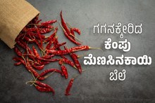 ಸಾಲು ಸಾಲು ಹಬ್ಬಗಳ ಎಫೆಕ್ಟ್ : ಗಗನಕ್ಕೇರಿದ  ಕೆಂಪು ಮೆಣಸಿನಕಾಯಿ ಬೆಲೆ ಸಾಲು ಸಾಲು ಹಬ್ಬಗಳ ಎಫೆಕ್ಟ್ : ಗಗನಕ್ಕೇರಿದ  ಕೆಂಪು ಮೆಣಸಿನಕಾಯಿ ಬೆಲೆ