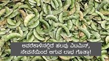 ಅವರೆಕಾಳಿನಲ್ಲಿದೆ ಹಲವು ವಿಟಮಿನ್‌, ಸೇವನೆಯಿಂದ ಆಗುವ ಲಾಭ ಗೊತ್ತಾ!