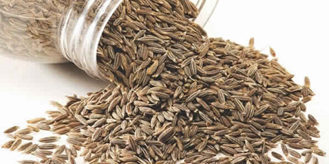 Jeera health benefits Jeera health benefits