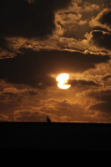 ರಾಜ್ಯದಲ್ಲಿ ಪಾರ್ಶ್ವ ಸೂರ್ಯಗ್ರಹಣ ಗೋಚರ, ಹೇಗಿತ್ತು ಗ್ರಹಣ; ಇಲ್ಲಿದೆ ವಿವರ ರಾಜ್ಯದಲ್ಲಿ ಪಾರ್ಶ್ವ ಸೂರ್ಯಗ್ರಹಣ ಗೋಚರ, ಹೇಗಿತ್ತು ಗ್ರಹಣ; ಇಲ್ಲಿದೆ ವಿವರ