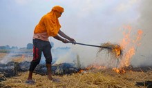 Stubble burning: ಕಳೆ ಸುಡುವ ಸಮಸ್ಯೆ ಪರಿಹರಿಸಲು ಪರಾಮರ್ಶೆ ಸಭೆ!  Stubble burning: ಕಳೆ ಸುಡುವ ಸಮಸ್ಯೆ ಪರಿಹರಿಸಲು ಪರಾಮರ್ಶೆ ಸಭೆ!