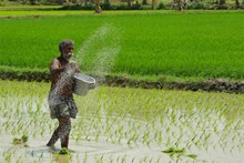 ರಾಜ್ಯ ಕೃಷಿ ಬೆಲೆ ಆಯೋಗಕ್ಕೆ ಅಧ್ಯಕ್ಷರೇ ಇಲ್ಲ: ರೈತರ ಸಮಸ್ಯೆಗಳಿಗೆ ಮುಕ್ತಿ ಇಲ್ಲ! ರಾಜ್ಯ ಕೃಷಿ ಬೆಲೆ ಆಯೋಗಕ್ಕೆ ಅಧ್ಯಕ್ಷರೇ ಇಲ್ಲ: ರೈತರ ಸಮಸ್ಯೆಗಳಿಗೆ ಮುಕ್ತಿ ಇಲ್ಲ!