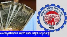 1.4 ಕೋಟಿಗೂ ಹೆಚ್ಚು PF ಚಂದಾದರರಿಗೆ ಸಿಗಲಿದೆ ಬಡ್ಡಿ ಮೊತ್ತ!  1.4 ಕೋಟಿಗೂ ಹೆಚ್ಚು PF ಚಂದಾದರರಿಗೆ ಸಿಗಲಿದೆ ಬಡ್ಡಿ ಮೊತ್ತ!