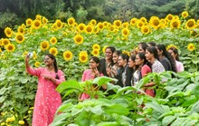 ಇಂದಿನಿಂದ GKVKಯಲ್ಲಿ ಕೃಷಿ ಮೇಳ: ನಾಲ್ಕು ದಿನ ರೈತಜಾತ್ರೆ! ಇಂದಿನಿಂದ GKVKಯಲ್ಲಿ ಕೃಷಿ ಮೇಳ: ನಾಲ್ಕು ದಿನ ರೈತಜಾತ್ರೆ!