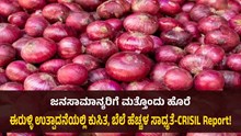 ಜನಸಾಮಾನ್ಯರಿಗೆ ಮತ್ತೊಂದು ಹೊರೆ; ಈರುಳ್ಳಿ ಉತ್ಪಾದನೆಯಲ್ಲಿ ಕುಸಿತ, ಬೆಲೆ ಹೆಚ್ಚಳ ಸಾಧ್ಯತೆ-CRISIL report!