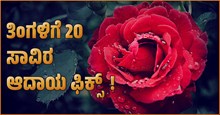 ಈ ಹೂವಿನ ಕೃಷಿಯಿಂದ ಇದೀಗ ನೀವು ತಿಂಗಳಿಗೆ 20 ಸಾವಿರ ರೂ ಆದಾಯ ಗಳಿಸಬಹುದು