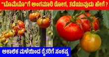 “ಟೊಮೆಟೊ”ಗೆ ಅಂಗಮಾರಿ ರೋಗ, ತಡೆಯುವುದು ಹೇಗೆ ? 	 	  “ಟೊಮೆಟೊ”ಗೆ ಅಂಗಮಾರಿ ರೋಗ, ತಡೆಯುವುದು ಹೇಗೆ ?