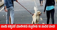 ಸಾಕು ನಾಯಿ ಕಚ್ಚಿದರೆ ಮಾಲೀಕರು ಕಟ್ಟಬೇಕು 10 ಸಾವಿರ ದಂಡ! ಸಾಕು ನಾಯಿ ಕಚ್ಚಿದರೆ ಮಾಲೀಕರು ಕಟ್ಟಬೇಕು 10 ಸಾವಿರ ದಂಡ!