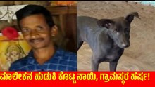 ಮಾಲೀಕನ ಹುಡುಕಿ ಕೊಟ್ಟ ನಾಯಿ, ಗ್ರಾಮಸ್ಥರ ಹರ್ಷ! ಮಾಲೀಕನ ಹುಡುಕಿ ಕೊಟ್ಟ ನಾಯಿ, ಗ್ರಾಮಸ್ಥರ ಹರ್ಷ!
