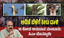 ಅಡಿಕೆ ಬೆಳೆಗೆ ಕೀಟ ದಾಳಿ: ಕ್ರಿಮಿನಾಶಕ ಸಿಂಪಡಣೆಗೆ 10 ಕೋಟಿ ಅನುದಾನ ಮಂಜೂರು-ಸಿಎಂ ಬೊಮ್ಮಾಯಿ ಅಡಿಕೆ ಬೆಳೆಗೆ ಕೀಟ ದಾಳಿ: ಕ್ರಿಮಿನಾಶಕ ಸಿಂಪಡಣೆಗೆ 10 ಕೋಟಿ ಅನುದಾನ ಮಂಜೂರು-ಸಿಎಂ ಬೊಮ್ಮಾಯಿ