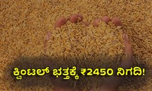 #Paddy Price: ಕ್ವಿಂಟಲ್ ಭತ್ತಕ್ಕೆ ₹2450 ನಿಗದಿ, ಜಿಲ್ಲಾಡಳಿತದಿಂದ ಸ್ಪಷ್ಟನೆ #Paddy Price: ಕ್ವಿಂಟಲ್ ಭತ್ತಕ್ಕೆ ₹2450 ನಿಗದಿ, ಜಿಲ್ಲಾಡಳಿತದಿಂದ ಸ್ಪಷ್ಟನೆ