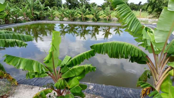 ಗುರುಲಿಂಗಪ್ಪ ಕೃಷಿ ಹೂಂಡ ಗುರುಲಿಂಗಪ್ಪ ಕೃಷಿ ಹೂಂಡ