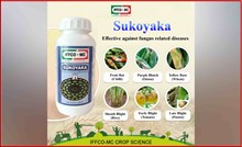 Sukoyaka: ಒಂದು ವಿಶಾಲ-ಸ್ಪೆಕ್ಟ್ರಮ್ ಶಿಲೀಂಧ್ರನಾಶಕ ಮತ್ತು  ಅದನ್ನು ಬಳಸುವ ವಿಧಾನ Sukoyaka: ಒಂದು ವಿಶಾಲ-ಸ್ಪೆಕ್ಟ್ರಮ್ ಶಿಲೀಂಧ್ರನಾಶಕ ಮತ್ತು  ಅದನ್ನು ಬಳಸುವ ವಿಧಾನ