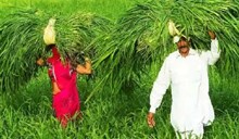 PM ಕಿಸಾನ್ ಯೋಜನೆ: ಇ-ಕೆವೈಸಿಗೆ ಇನ್ನು ಮೂರು ದಿನ ಬಾಕಿ..ಇಂದೇ ಈ ಕೆಲಸ ಮುಗಿಸಿ 13ನೇ ಕಂತನ್ನು ಸುಲಭವಾಗಿ ಪಡೆಯಿರಿ  PM ಕಿಸಾನ್ ಯೋಜನೆ: ಇ-ಕೆವೈಸಿಗೆ ಇನ್ನು ಮೂರು ದಿನ ಬಾಕಿ..ಇಂದೇ ಈ ಕೆಲಸ ಮುಗಿಸಿ 13ನೇ ಕಂತನ್ನು ಸುಲಭವಾಗಿ ಪಡೆಯಿರಿ