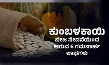 ಕುಂಬಳಕಾಯಿ ಬೀಜ ಸೇವನೆಯಿಂದ ಆಗುವ 6 ಗಮನಾರ್ಹ ಲಾಭಗಳು