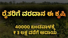 ನಲವತ್ತು ಸಾವಿರ ಬಂಡವಾಳಕ್ಕೆ ₹ 3 ಲಕ್ಷ ವರೆಗೆ ಆದಾಯ..ರೈತರಿಗೆ ವರದಾನ ಈ ಕೃಷಿ