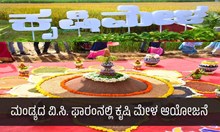 ಮಂಡ್ಯದ ವಿ.ಸಿ. ಫಾರಂನಲ್ಲಿ ಕೃಷಿ ಮೇಳ ಆಯೋಜನೆ ಮಂಡ್ಯದ ವಿ.ಸಿ. ಫಾರಂನಲ್ಲಿ ಕೃಷಿ ಮೇಳ ಆಯೋಜನೆ