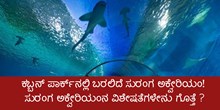 ಕಬ್ಬನ್ ಪಾರ್ಕ್ನಲ್ಲಿ ಬರಲಿದೆ ಸುರಂಗ ಅಕ್ವೇರಿಯಂ! ಸುರಂಗ ಅಕ್ವೇರಿಯಂನ ವಿಶೇಷತೆಗಳೇನು ಗೊತ್ತೆ ? ಕಬ್ಬನ್ ಪಾರ್ಕ್ನಲ್ಲಿ ಬರಲಿದೆ ಸುರಂಗ ಅಕ್ವೇರಿಯಂ! ಸುರಂಗ ಅಕ್ವೇರಿಯಂನ ವಿಶೇಷತೆಗಳೇನು ಗೊತ್ತೆ ?